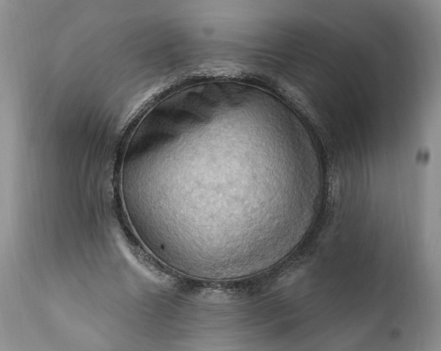 X0000111360538200907241224