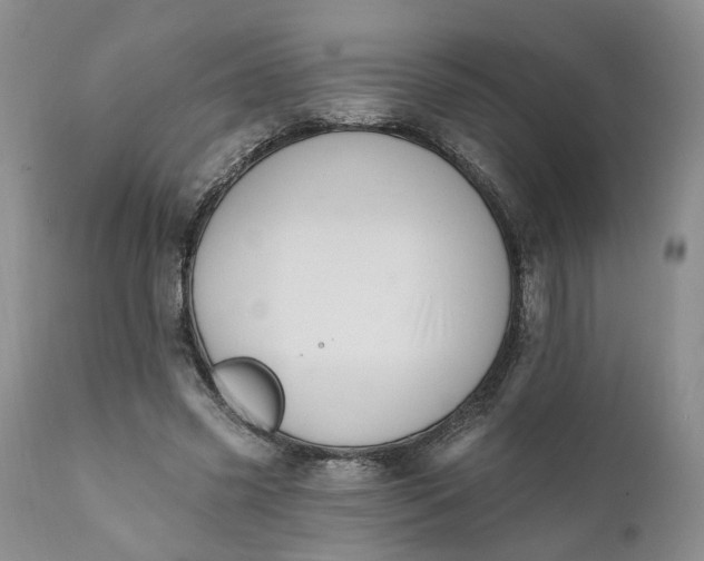 X0000111360541200907241224