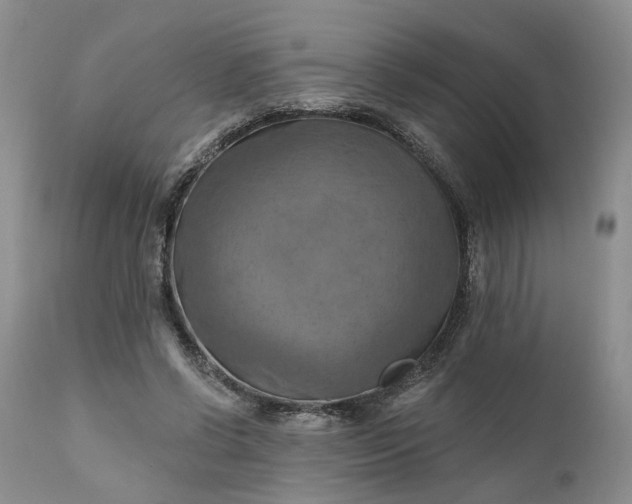 X0000111360542200907241224