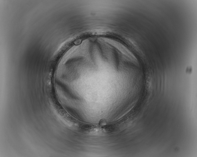 X0000111360543200907241224