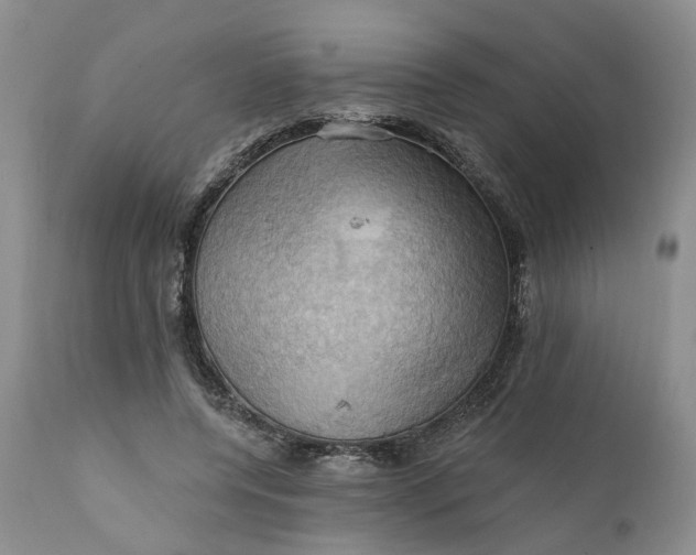 X0000111360544200907241224