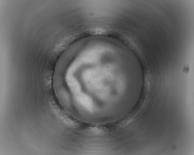 X0000111360545200907241224