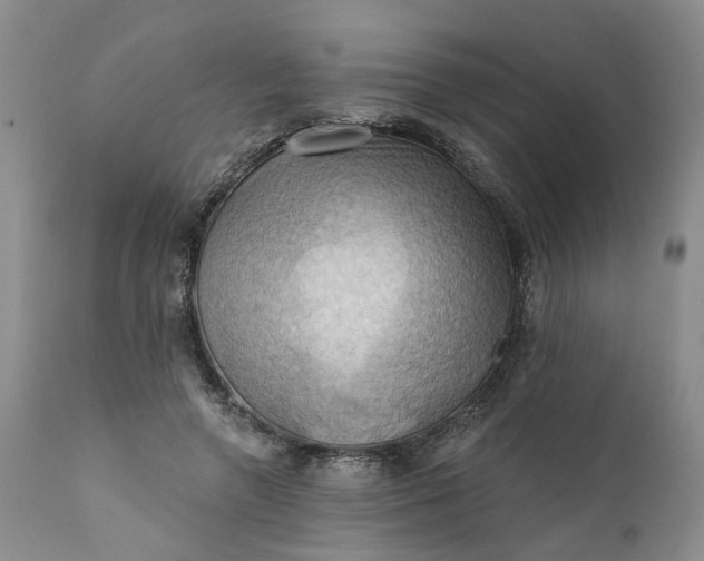 X0000111360546200907241224