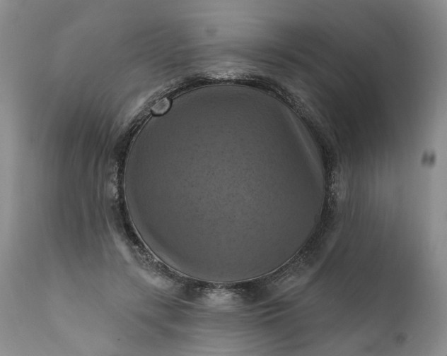 X0000111360547200907241224