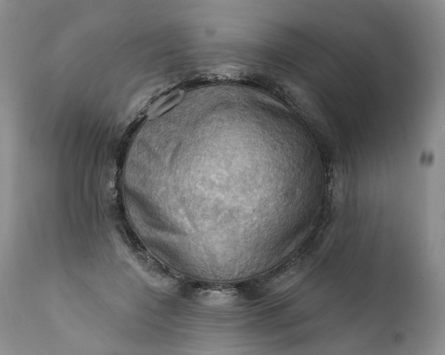 X0000111360548200907241224