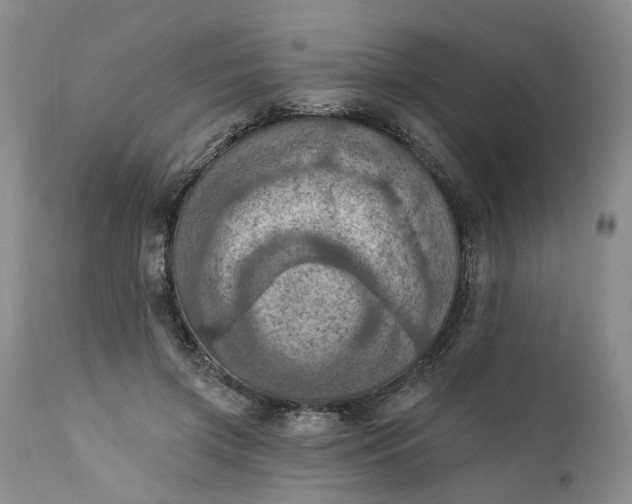 X0000111360549200907241224