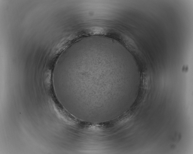 X0000111360550200907241224