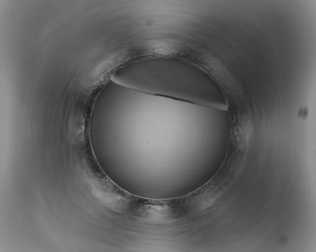 X0000111360552200907241224