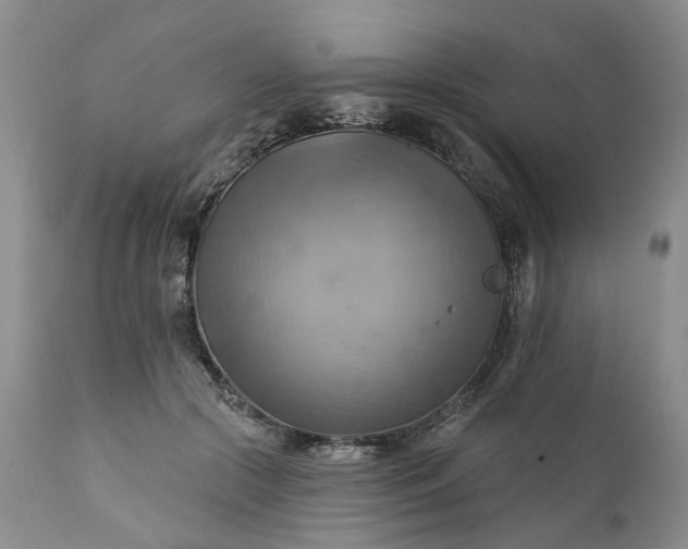 X0000111360553200907241224