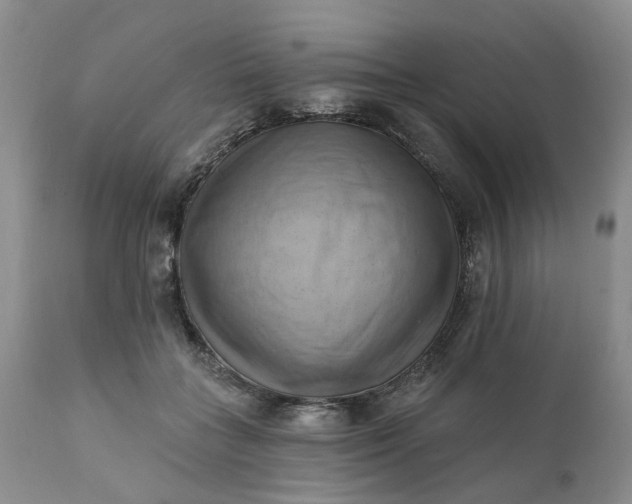 X0000111360555200907241224