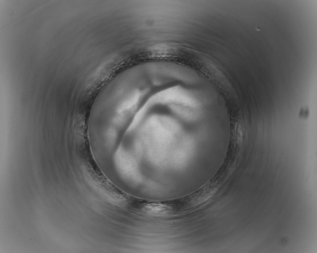 X0000111360557200907241225