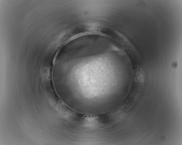 X0000111360560200907241225