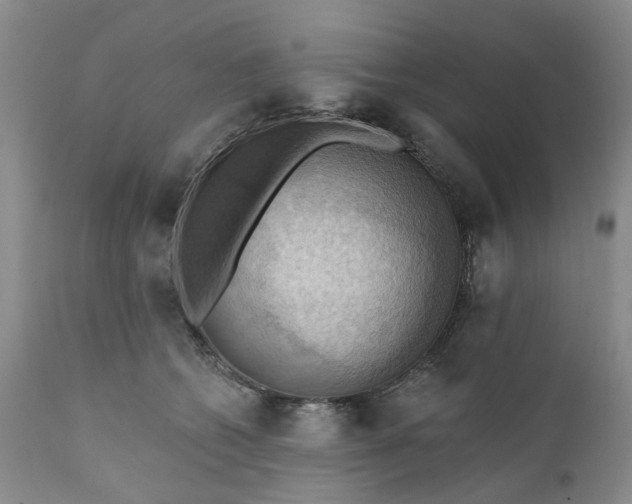 X0000111360562200907241225