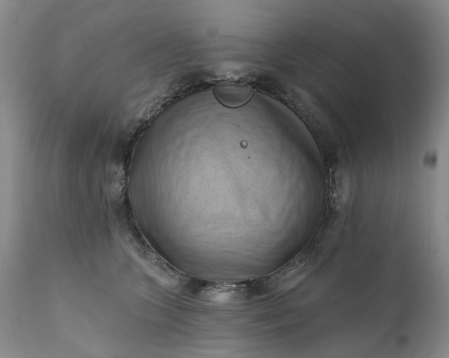 X0000111360563200907241225