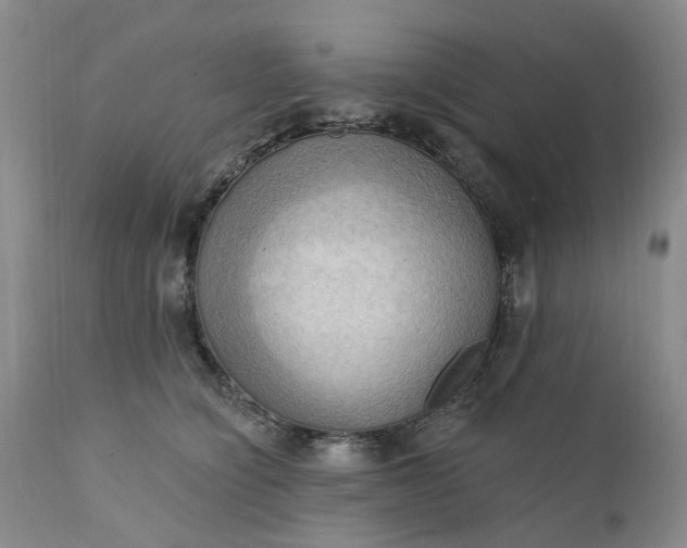 X0000111360564200907241225
