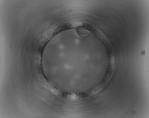 X0000111360565200907241225