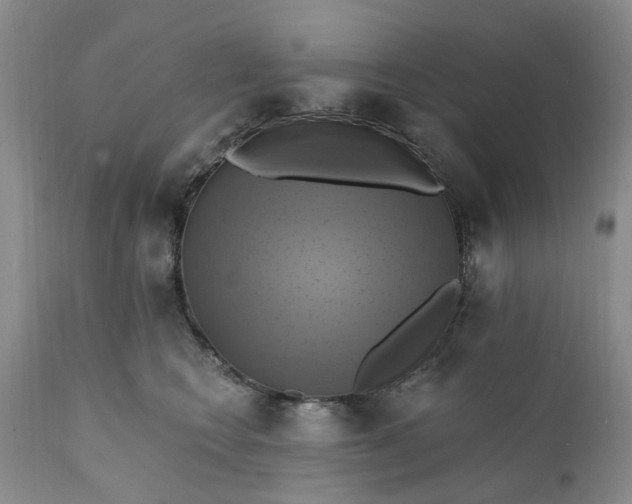 X0000111360566200907241225