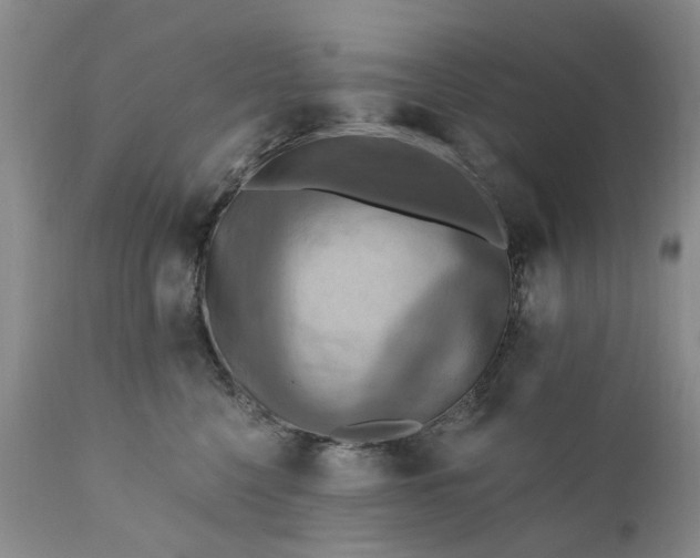 X0000111360568200907241225