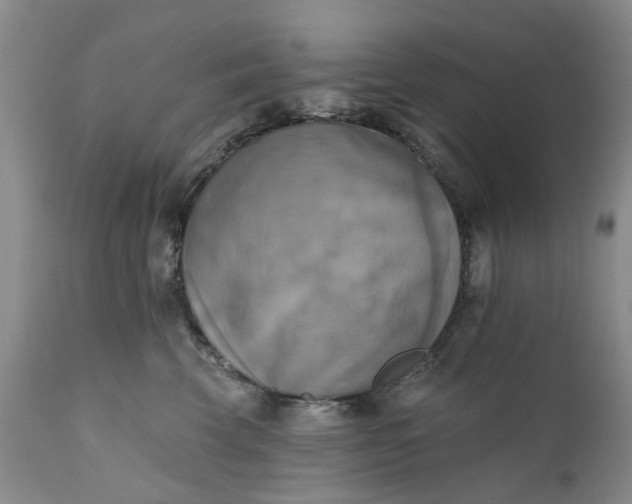 X0000111360569200907241225