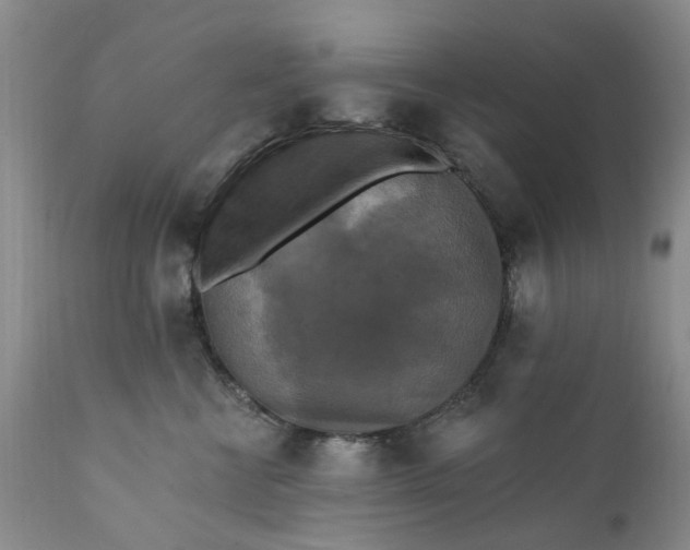 X0000111360570200907241225