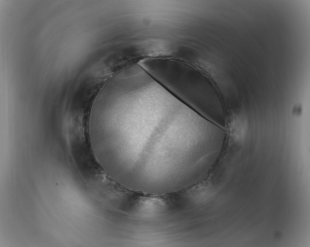 X0000111360572200907241225