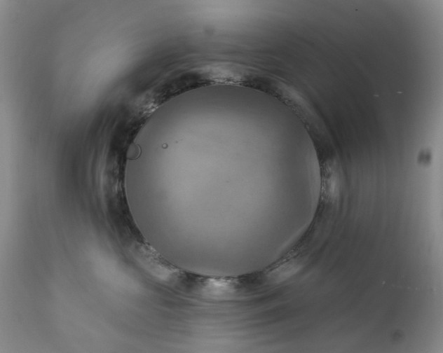 X0000111360573200907241225