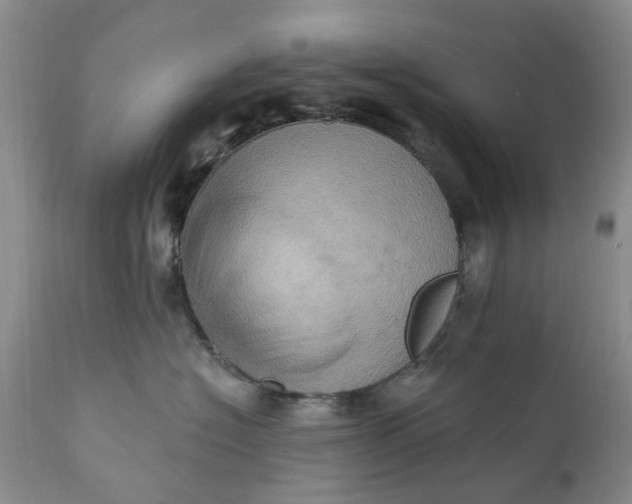 X0000111360574200907241225