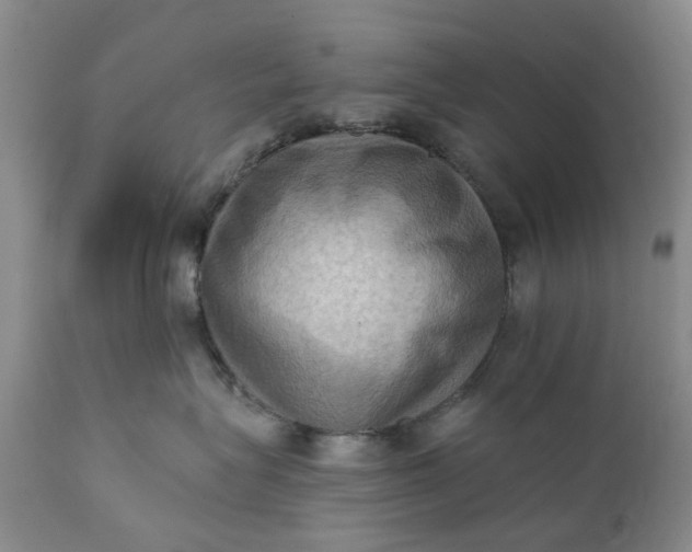 X0000111360575200907241225