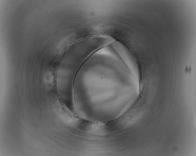 X0000111360576200907241225