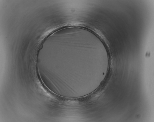 X0000111360577200907241224