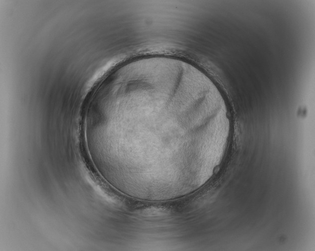 X0000111360578200907241224