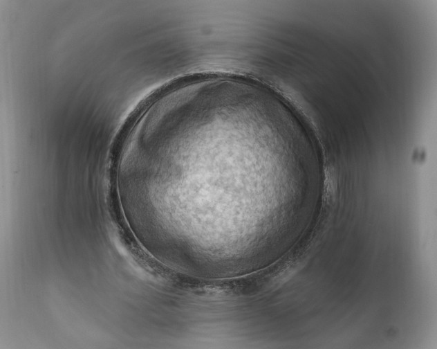 X0000111360580200907241224