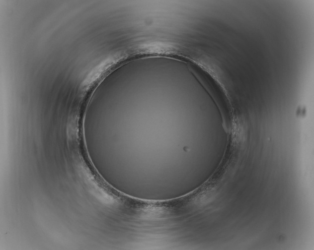 X0000111360581200907241224