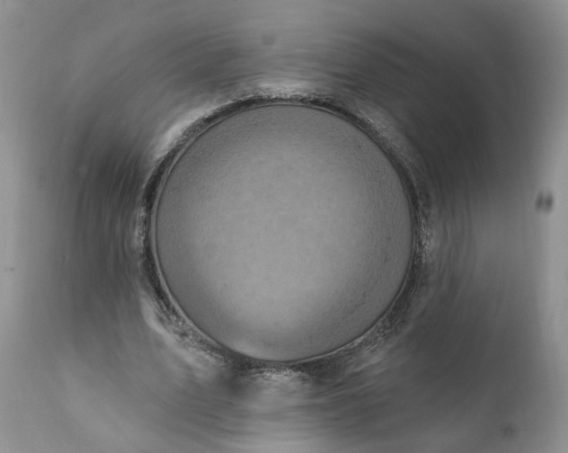 X0000111360583200907241224