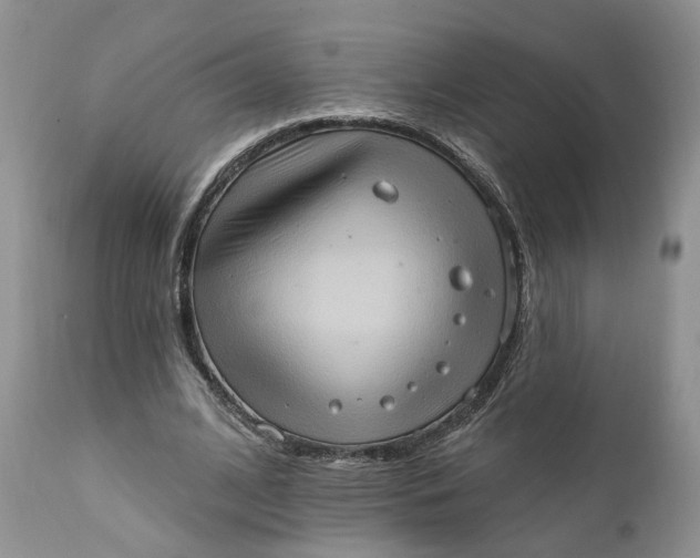 X0000111360584200907241224