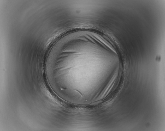 X0000111360585200907241224