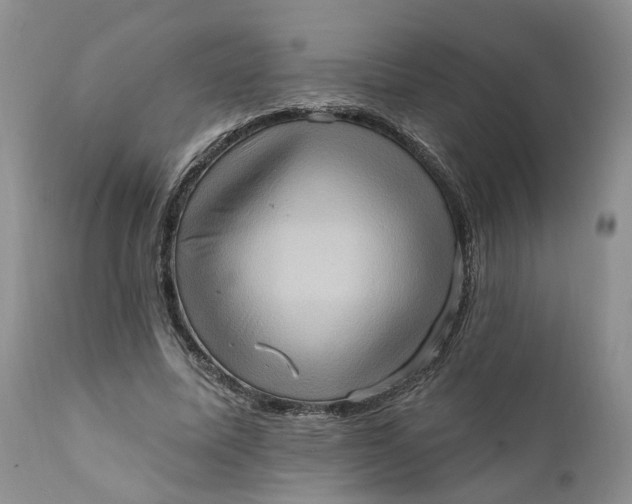 X0000111360587200907241224