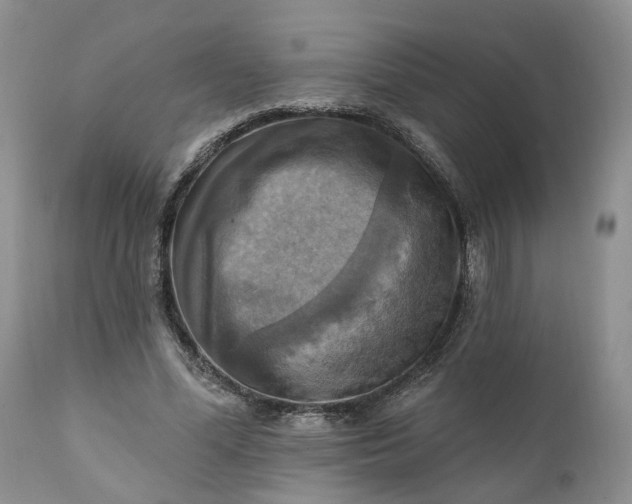 X0000111360588200907241224