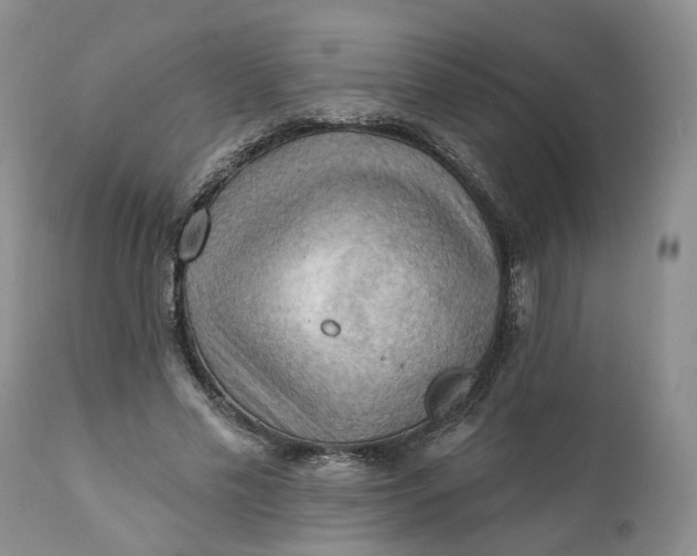 X0000111360589200907241224