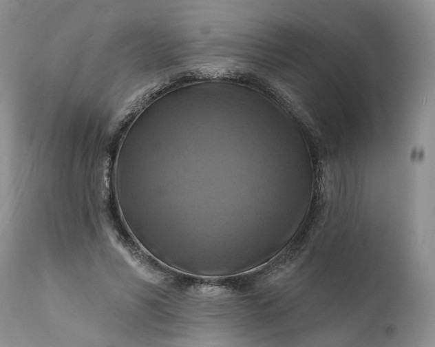 X0000111360590200907241224