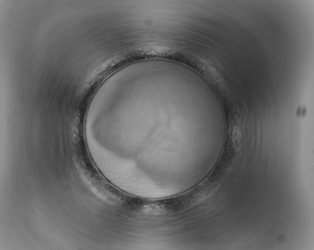 X0000111360591200907241224