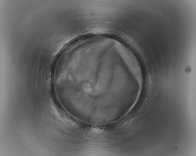 X0000111360592200907241224