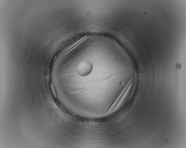 X0000111360593200907241224