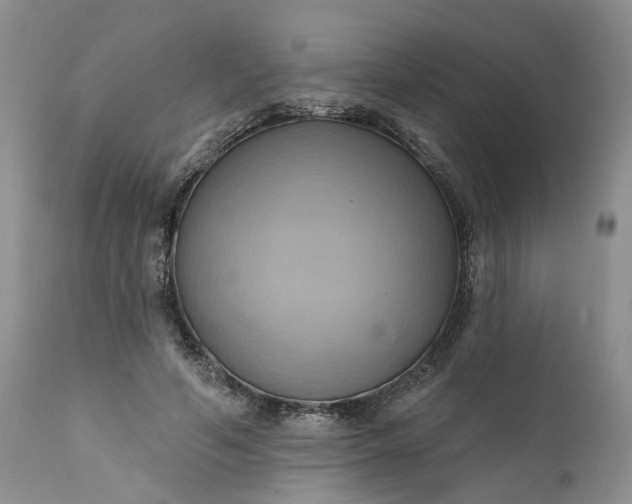 X0000111360594200907241224