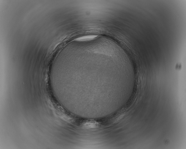X0000111360595200907241224