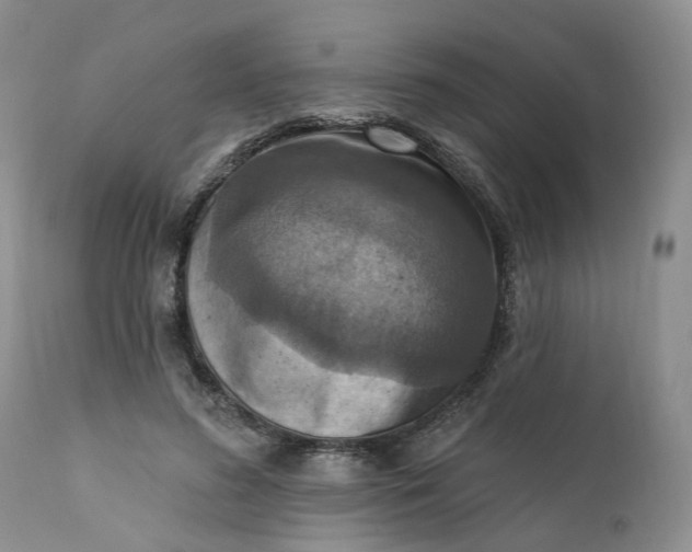 X0000111360596200907241224