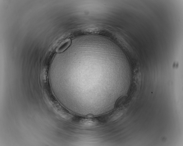 X0000111360597200907241224