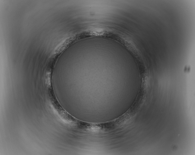 X0000111360598200907241224