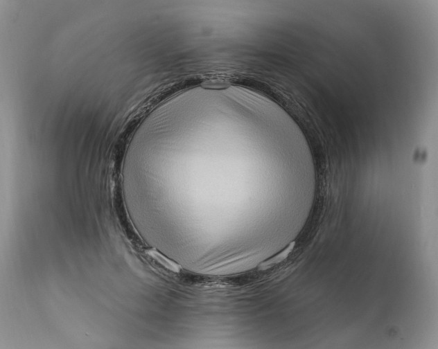 X0000111360599200907241224