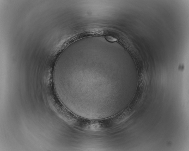 X0000111360600200907241224